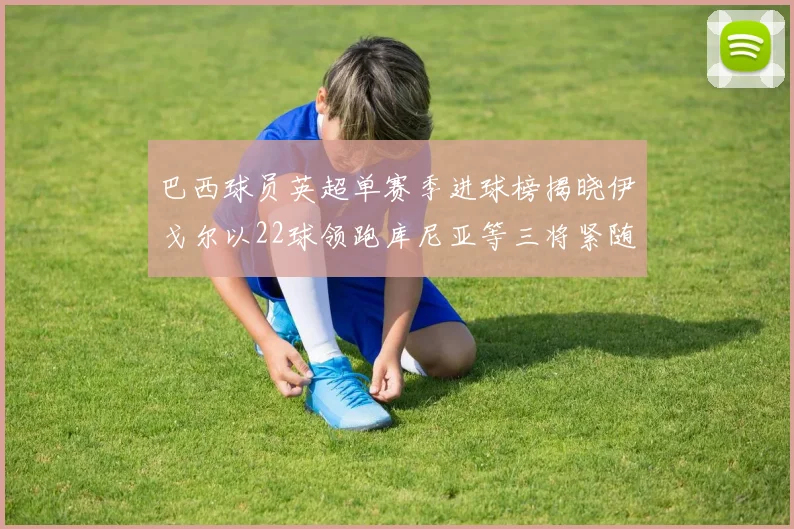 巴西球员英超单赛季进球榜揭晓伊戈尔以22球领跑库尼亚等三将紧随其后